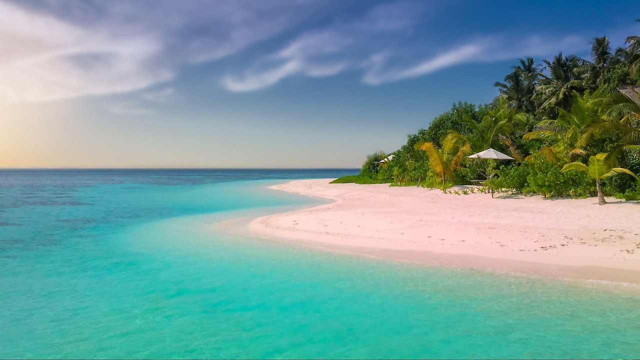 제목 없는 디자인.jpg