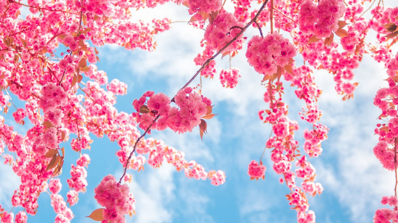 제목 없는 디자인 (2).jpg