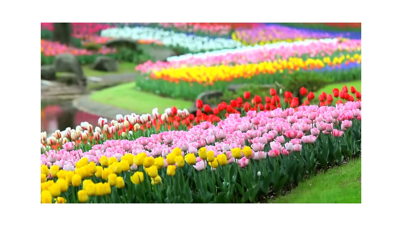 제목 없는 디자인.jpg