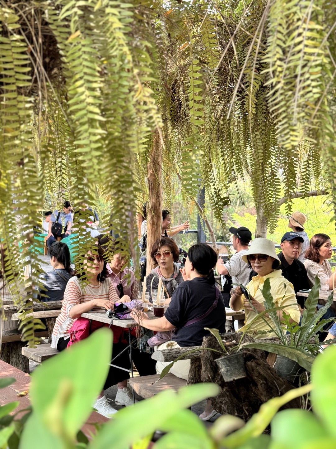 그늘에서 쉼.jpg