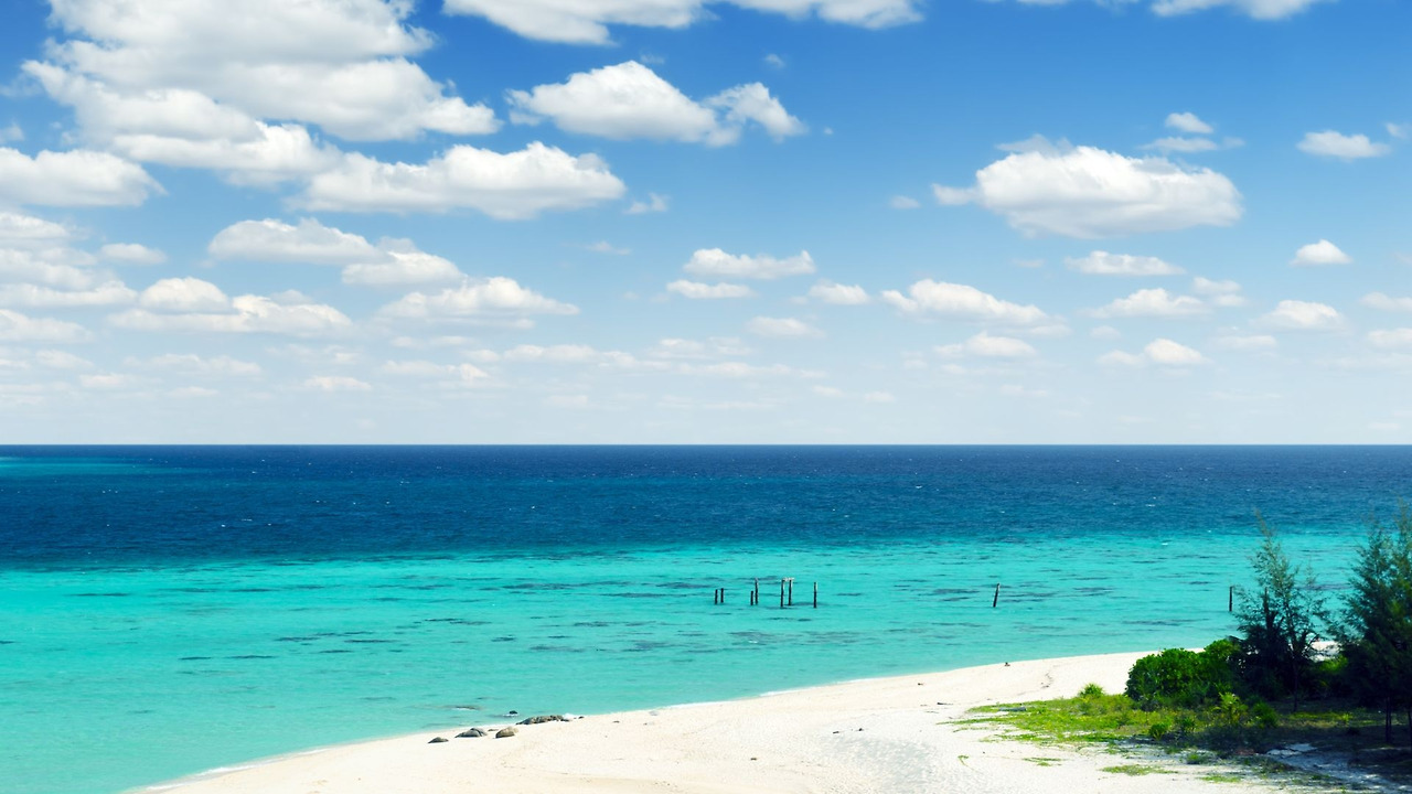 제목 없는 디자인.jpg