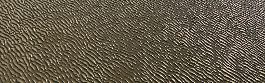 썰물의 자취.jpg