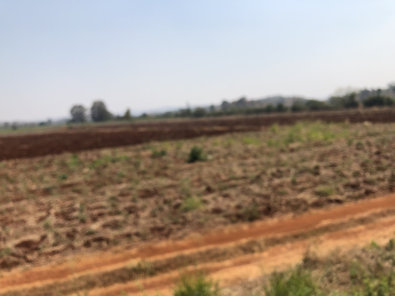 경작하기 위한 땅.jpg