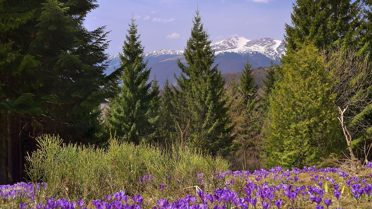 제목 없는 디자인.jpg