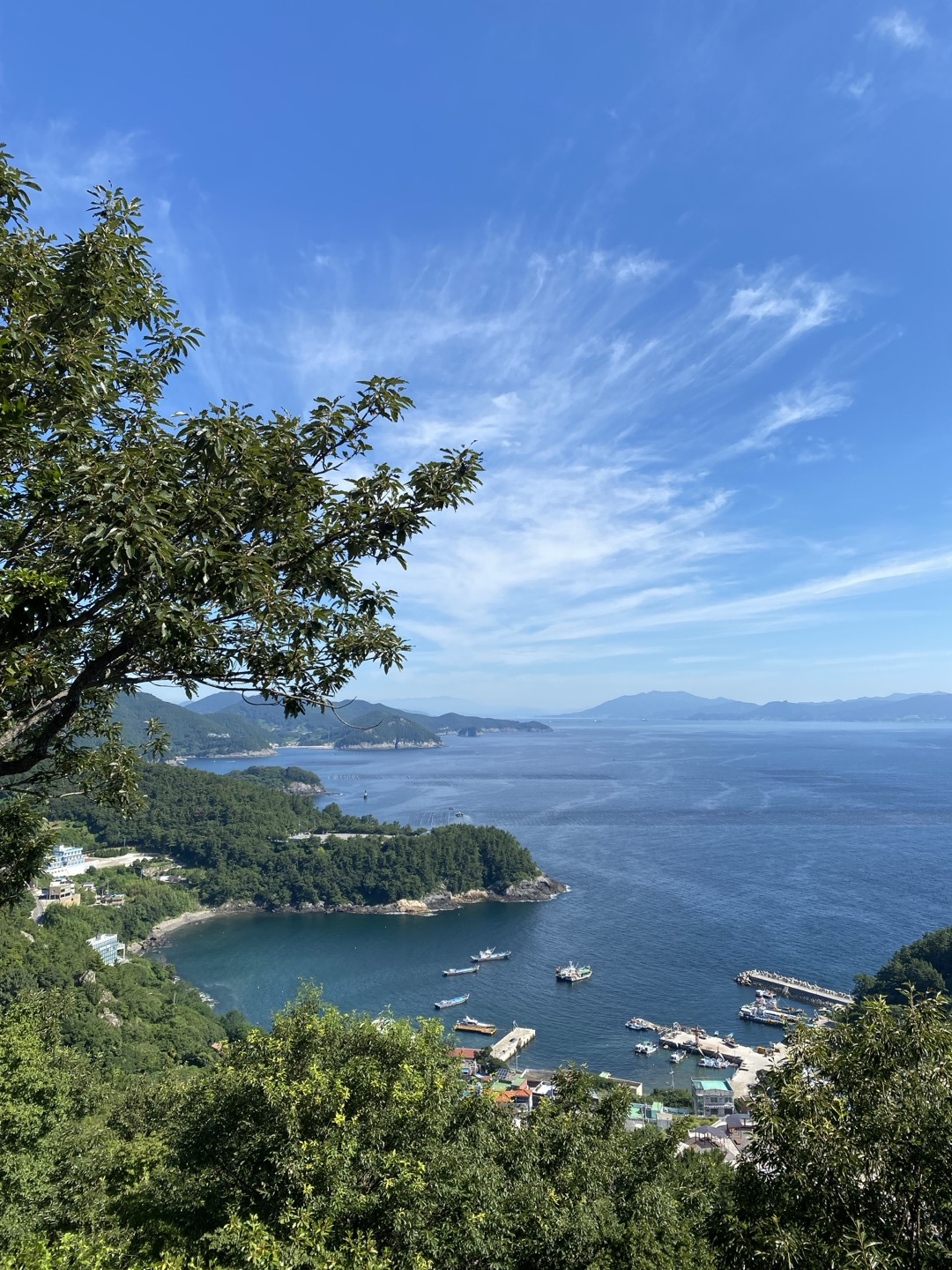 내려다본 바다.jpg