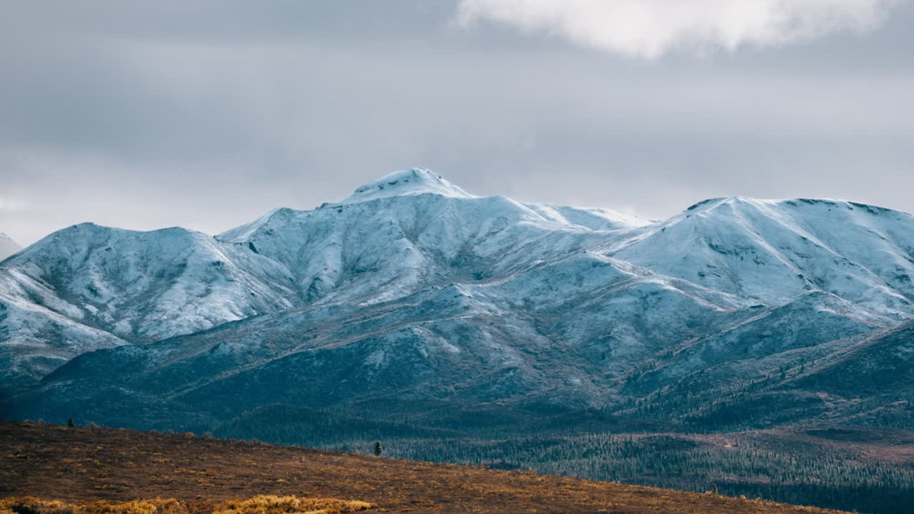 제목 없는 디자인.jpg