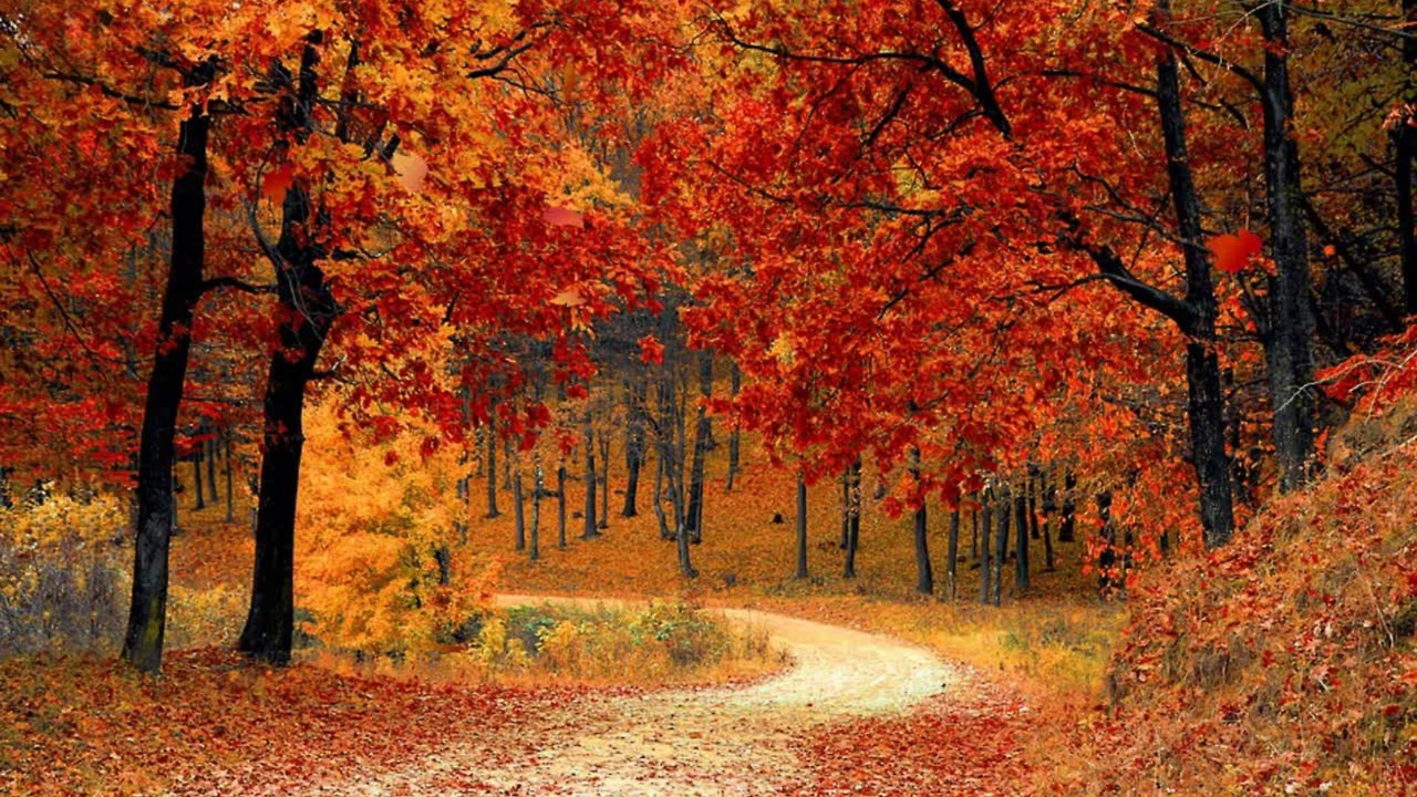 제목 없는 디자인.jpg