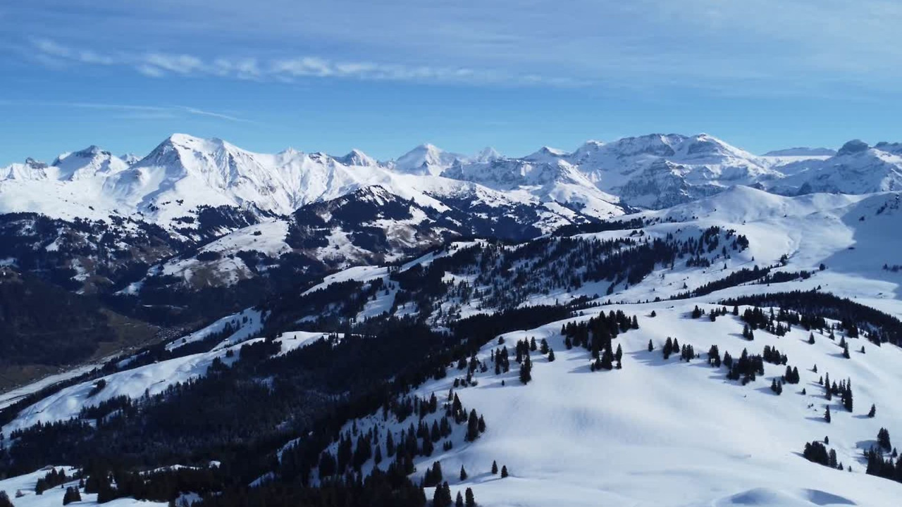 제목 없는 디자인.jpg