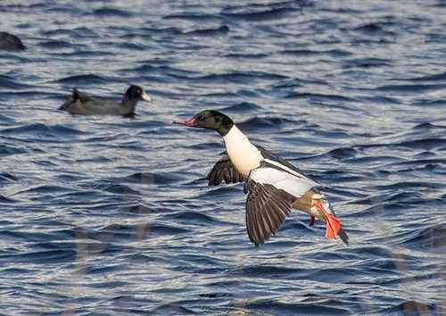 _K9A6453-raw-topaz-denoise-enhance-sharpen 복사2-s.jpg