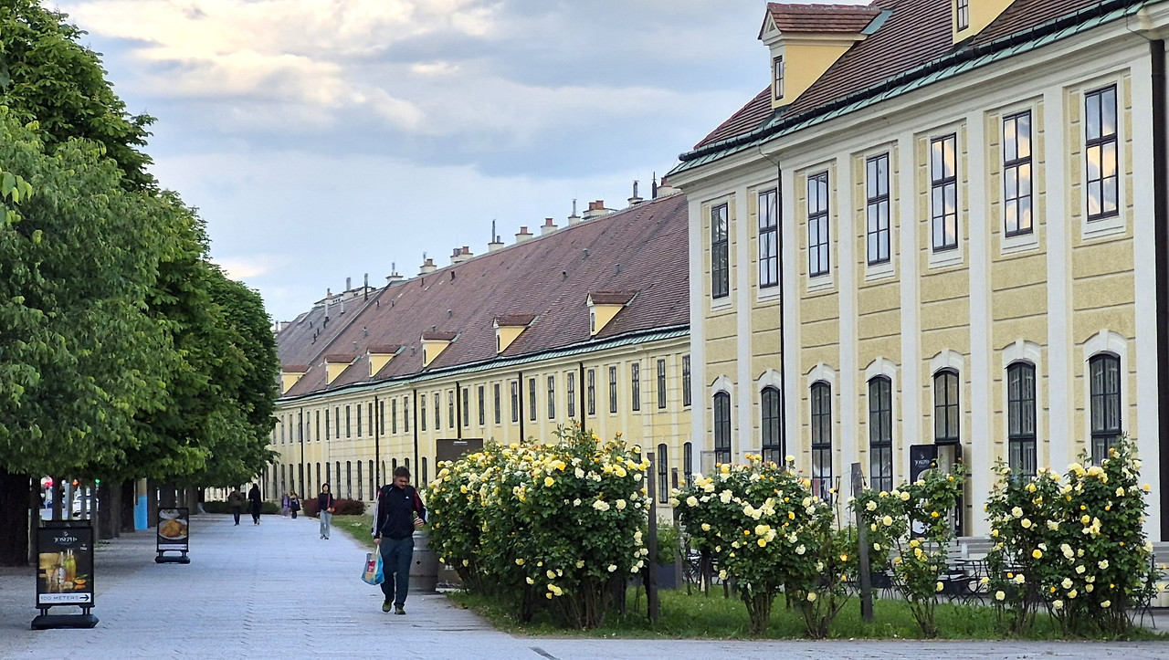 쇤브룬궁전 오랑제리 (3).jpg