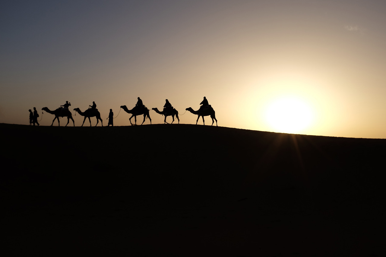 camels-1149803.jpg