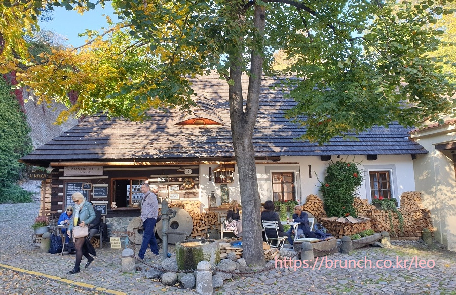 로레타와노비스벳 (24).jpg