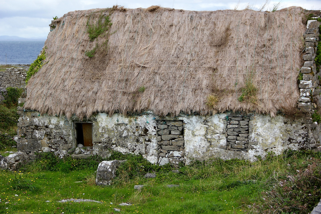 thatched-roof-981891_1920.jpg