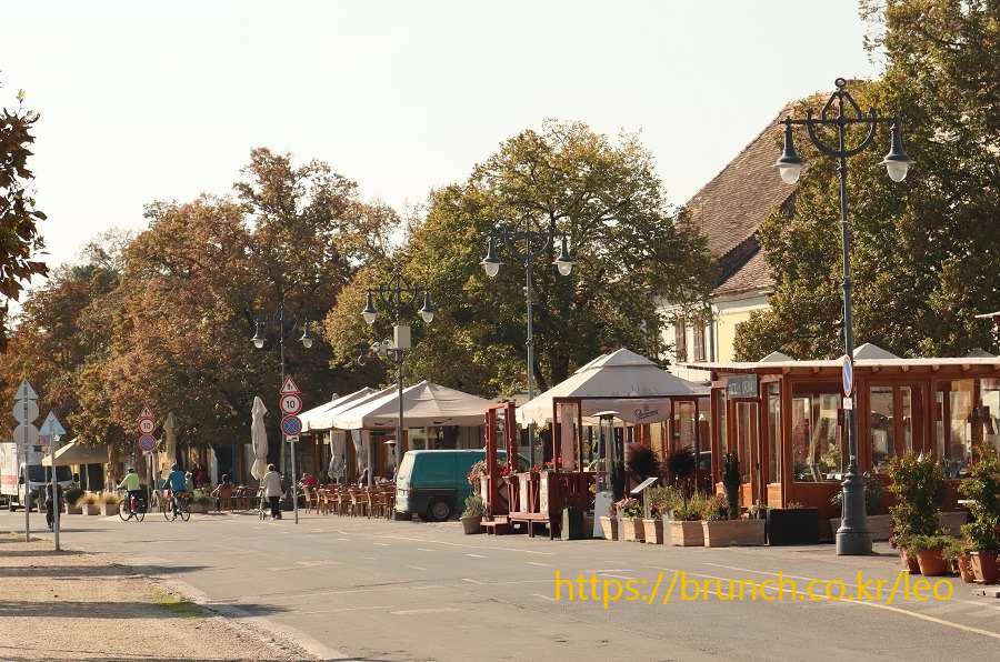 센텐데르1 (161).jpg