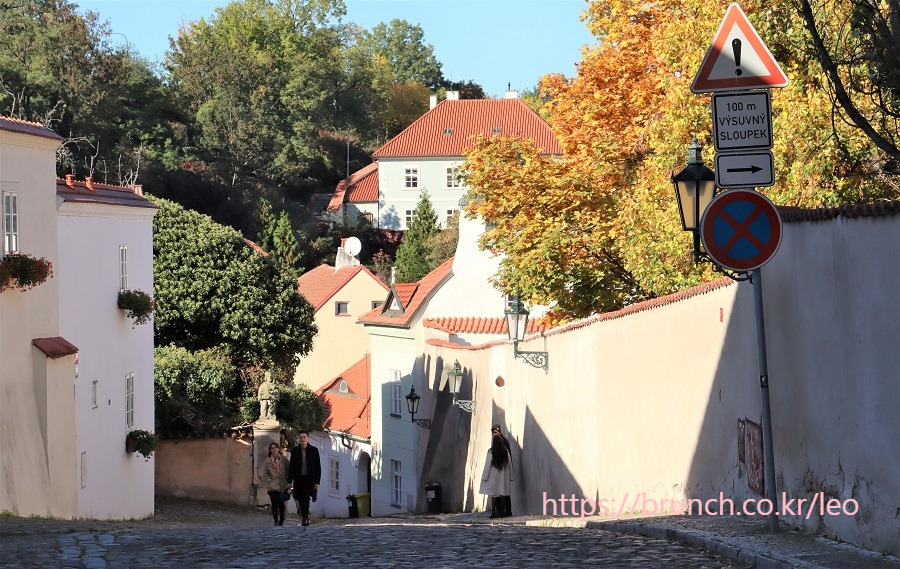 노비 스벳2 (52).jpg