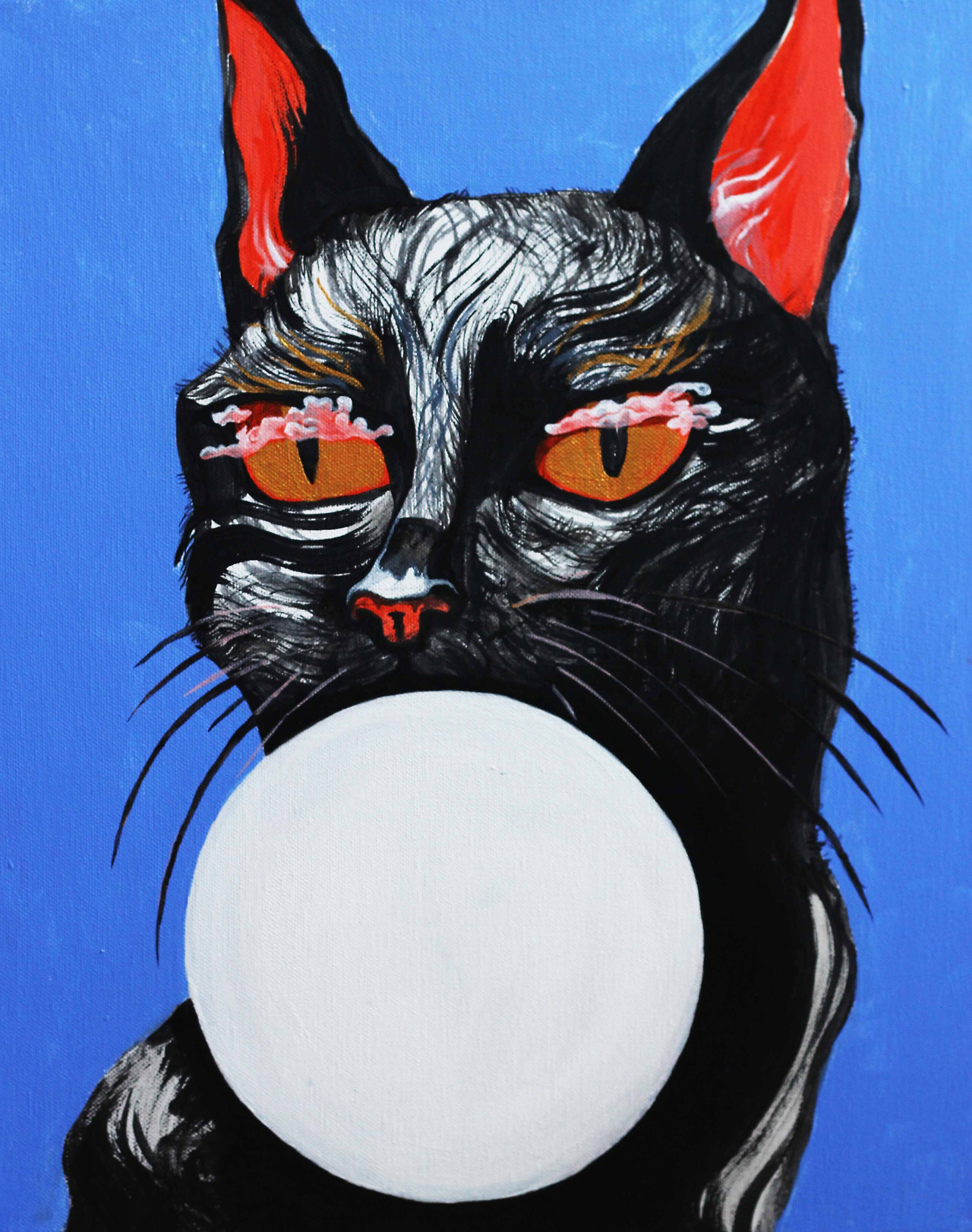 07_Dream of a cat_Jessie.jpg