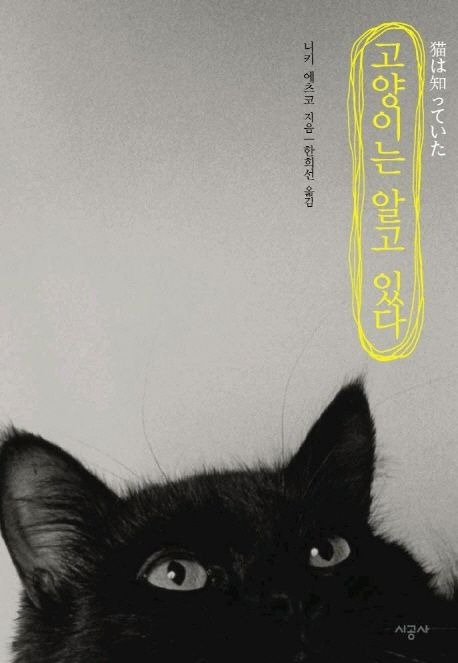 10-3-3. 고양이는 알고 있다.jpg