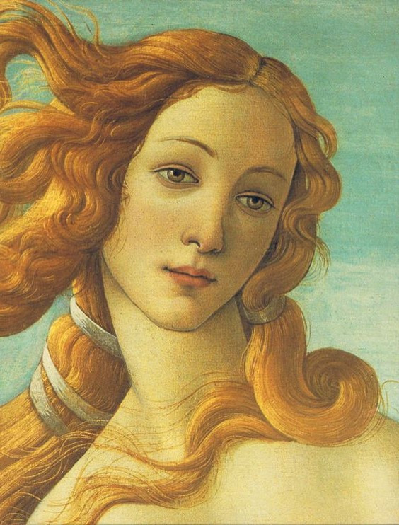 비너스 반전.jpg