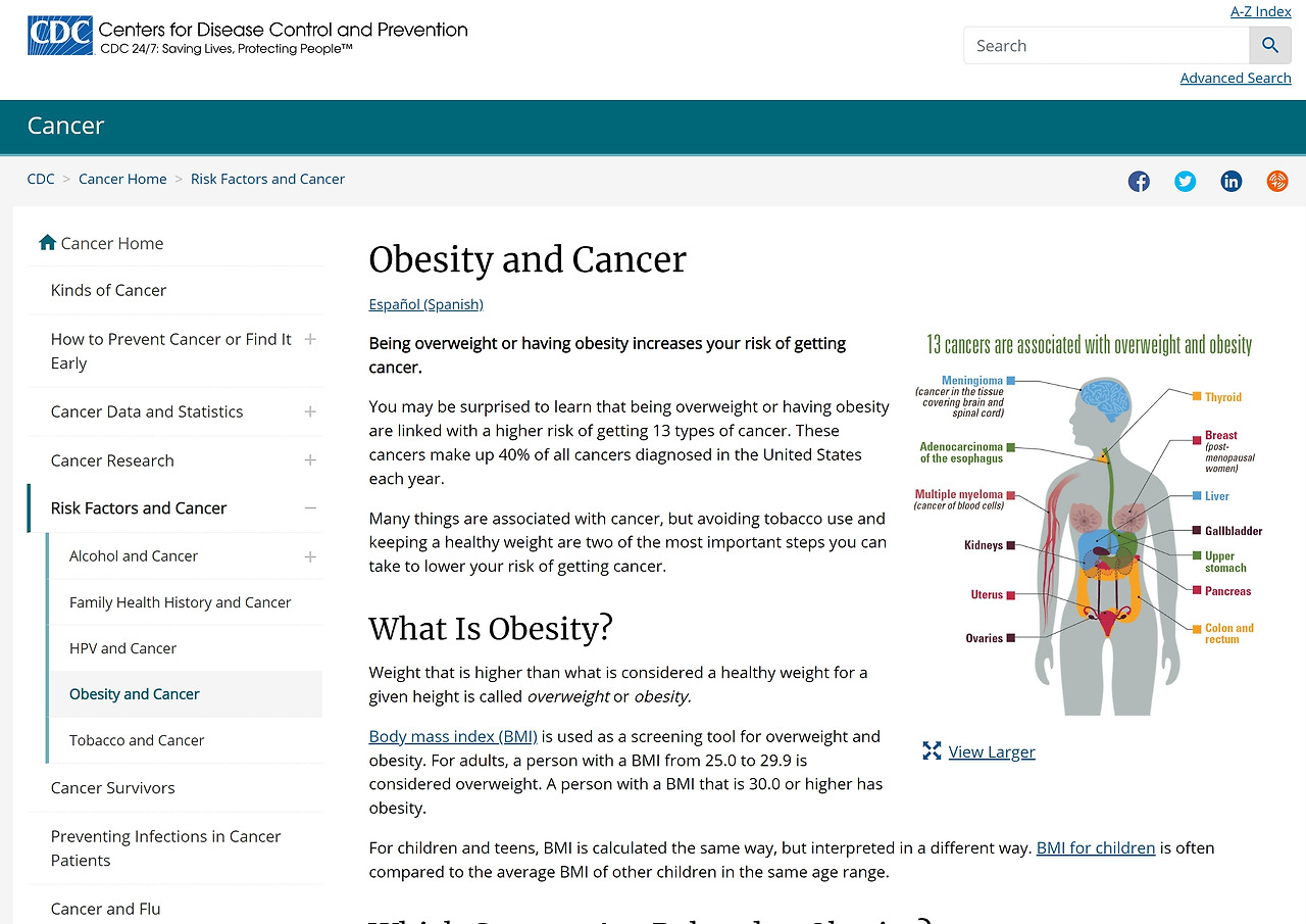 비만과 암_미국.jpg
