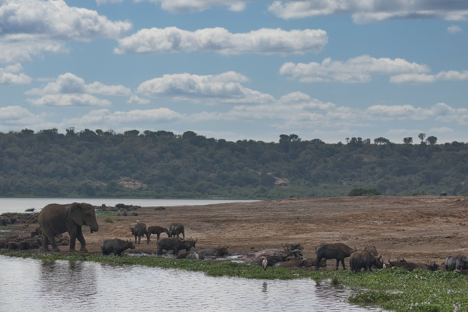 우간다(7월 22)2.jpg