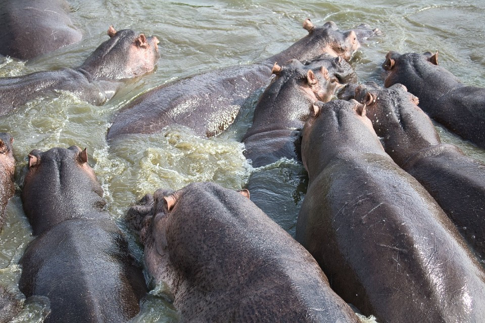 우간다(7월 22)4.jpg