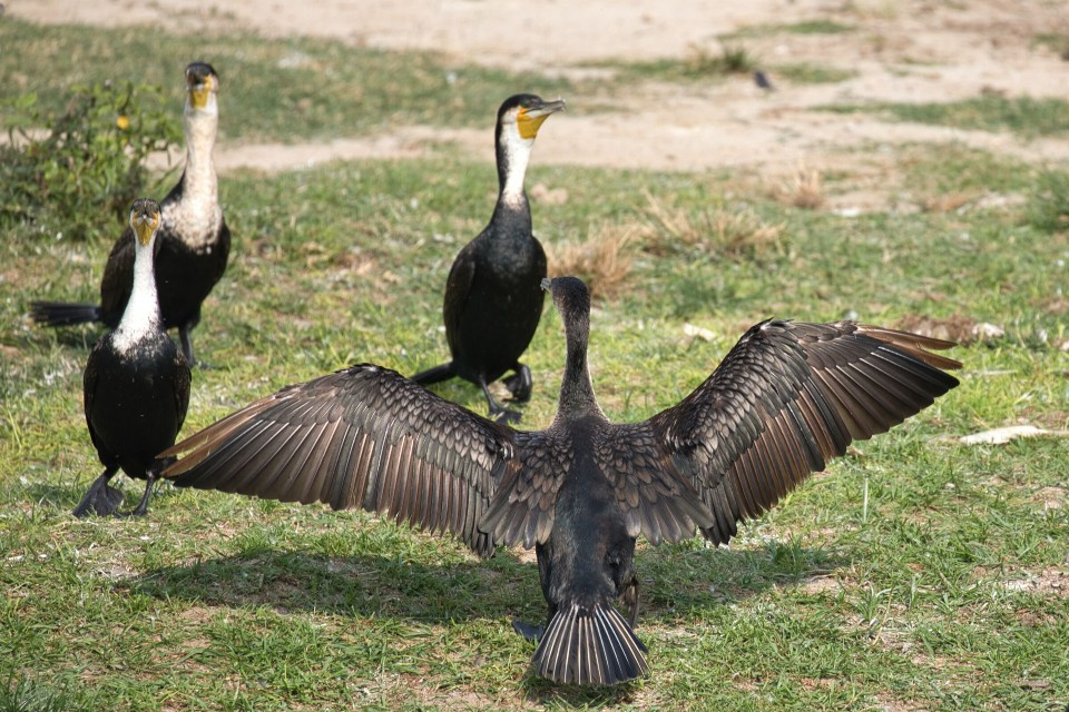 우간다(7월 22)5.jpg