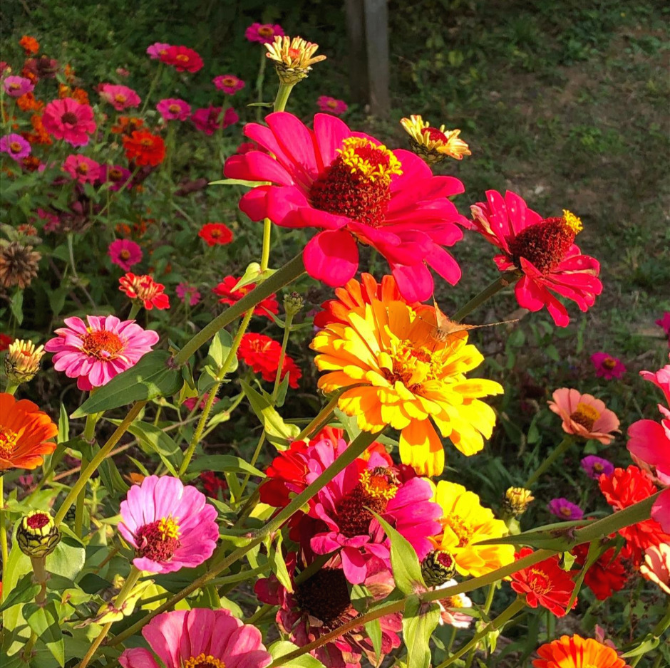 2019. 11. 3 컬러 샘플 (15).jpg