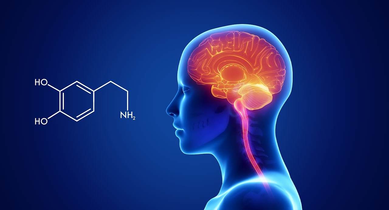 The-Role-of-Dopamine-in-the-Mind.jpg