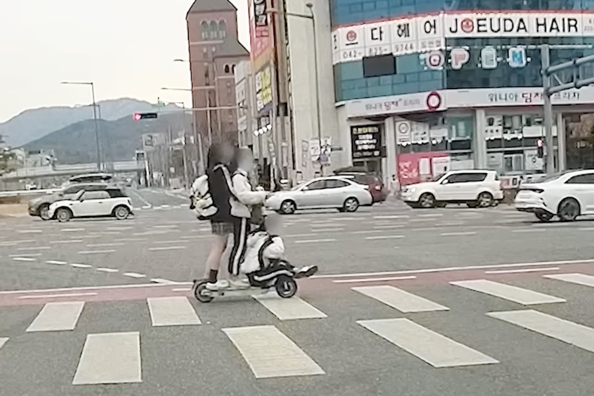 한문철 브레멘음악대 5.jpg