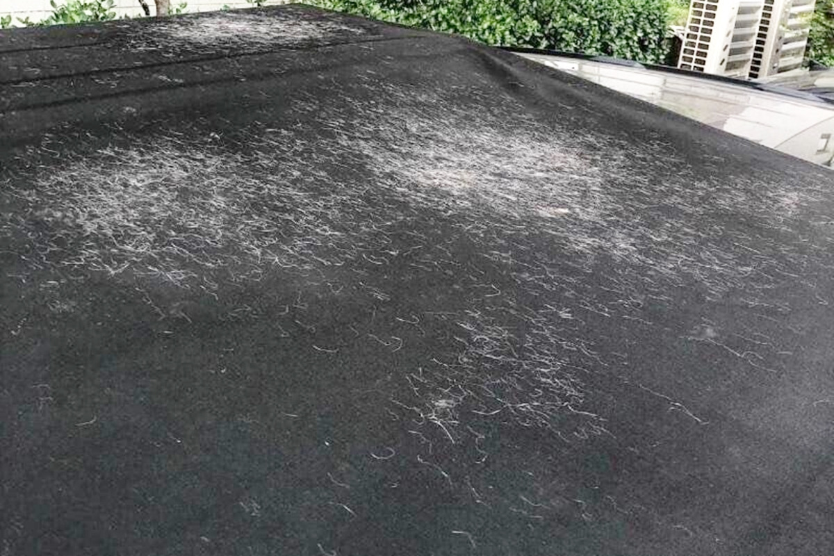 3_고양이 털과 스크래치로 가득한 소프트탑_보배드림.jpg