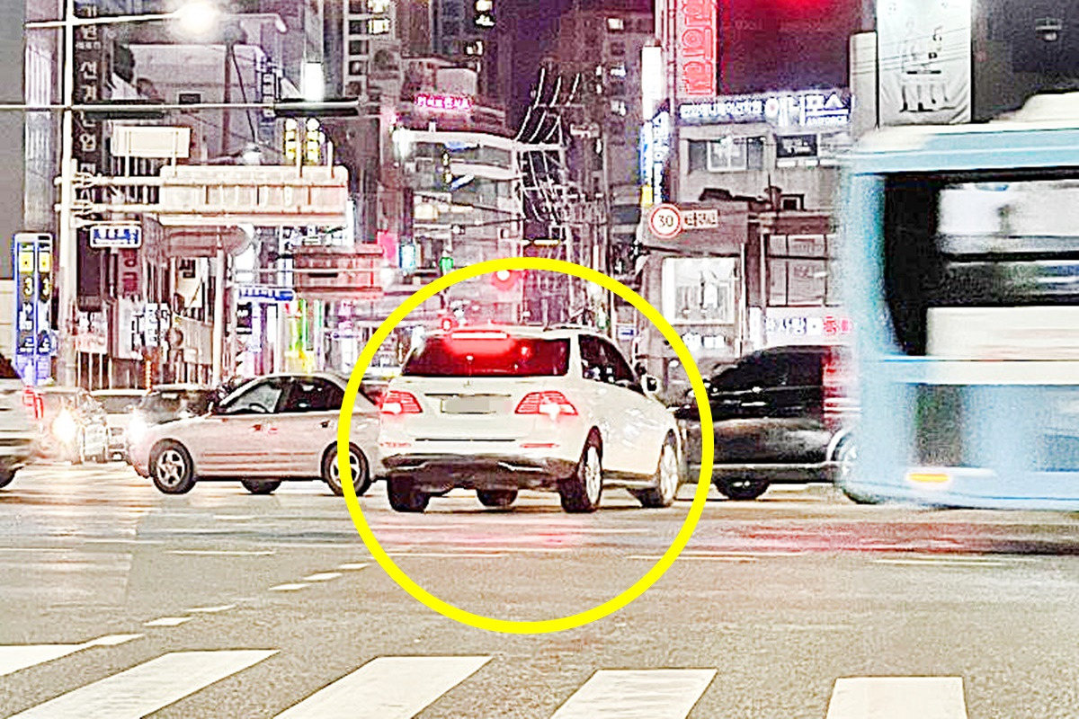 보배.jpg