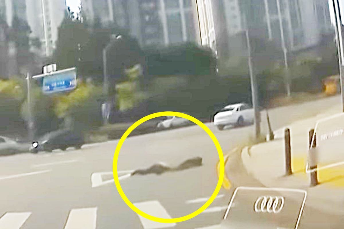 맨홀 작업 중인 작업자 사진 출처 = 유튜브 채널 '한문철TV'.jpg