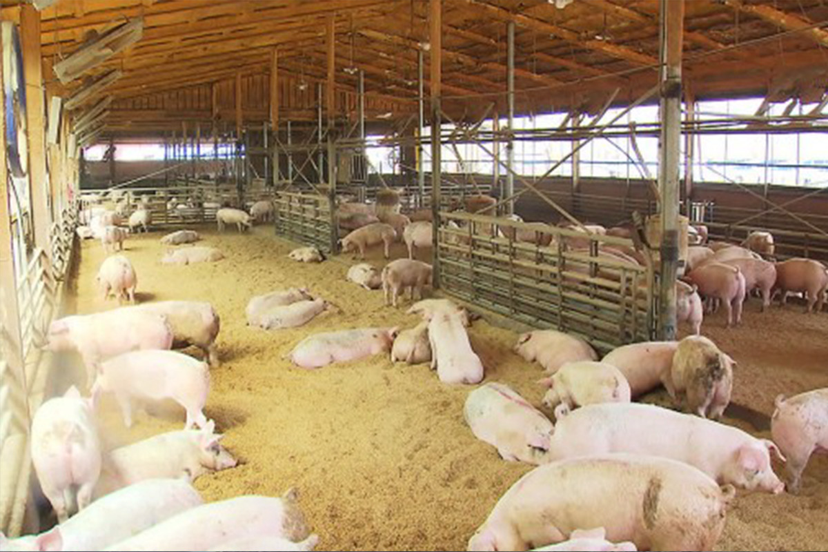 제목 없음-1 kbs-1.jpg