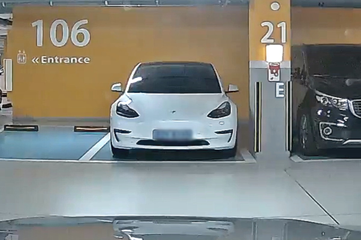 테슬라_절도3.jpg
