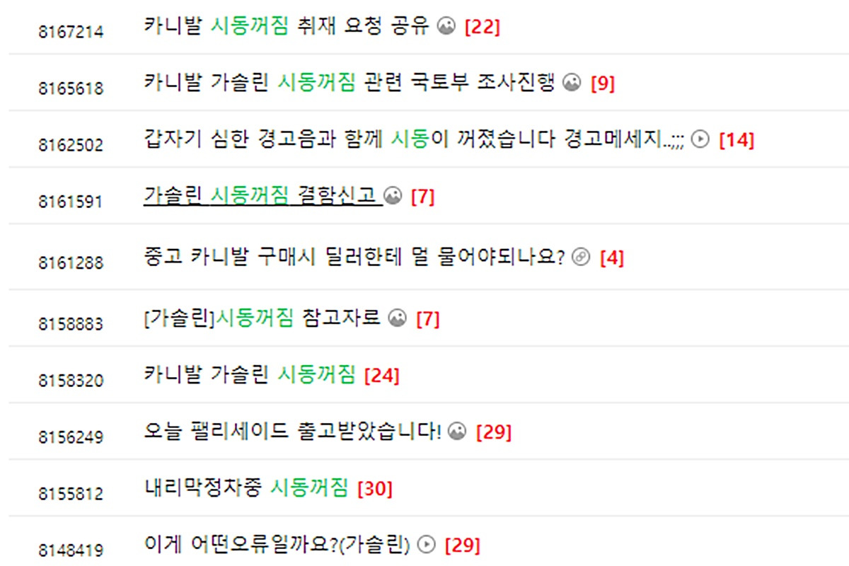 3 카니발 동호회 카페.jpg