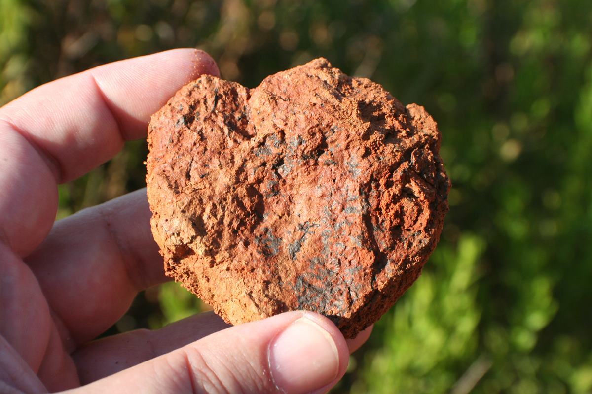 동아사이언스 리튬.jpg