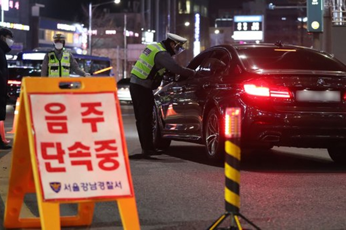 음주운전 뉴스1 6.jpg