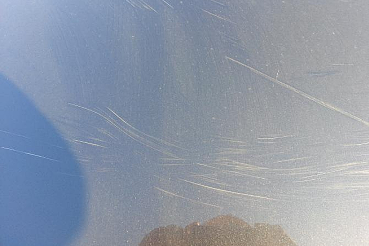 4_길고양이 스크래치_보배드림.jpg