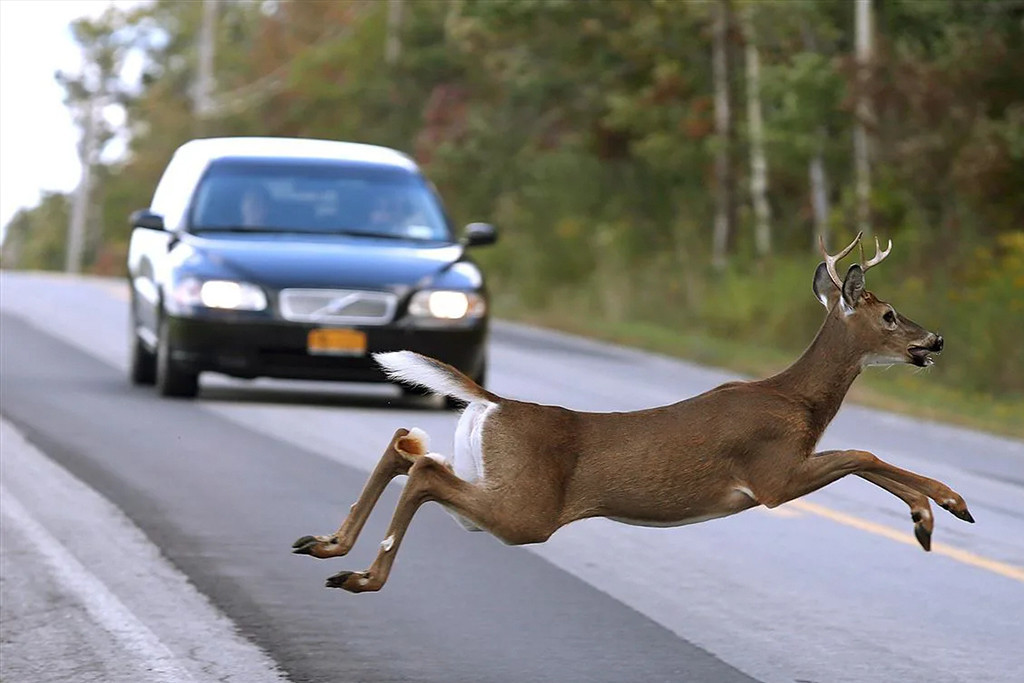 제목 없음-2345436464.jpg