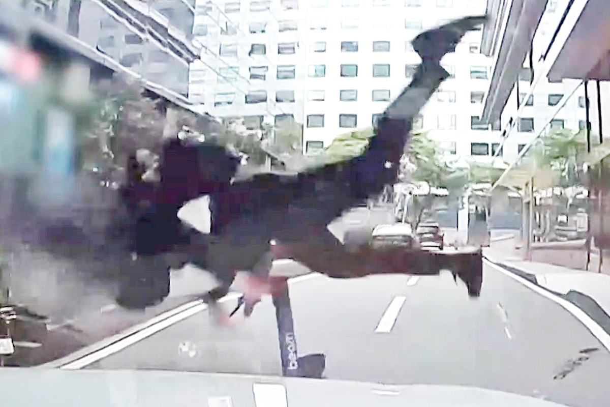 0_킥라니_유튜브 채널 '한문철 TV'.jpg