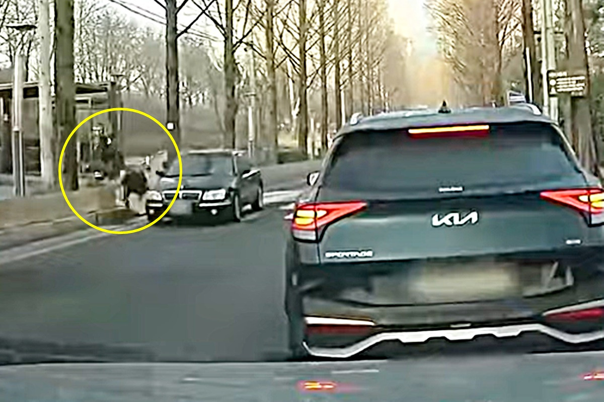 한문철티비 사고 2.jpg