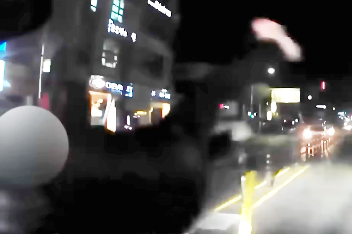 3_킥라니_유튜브 채널 '한문철 TV'.jpg