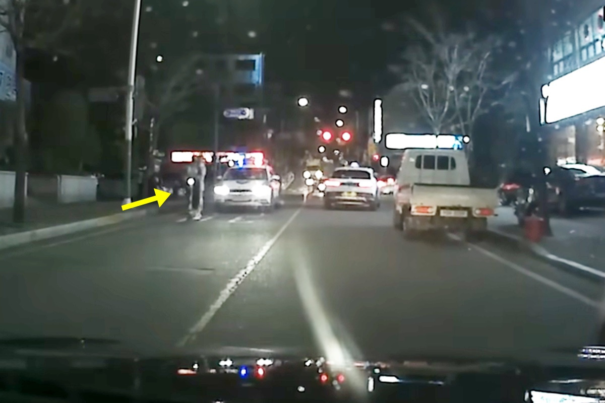 브레멘음악대 킥보드 2.jpg