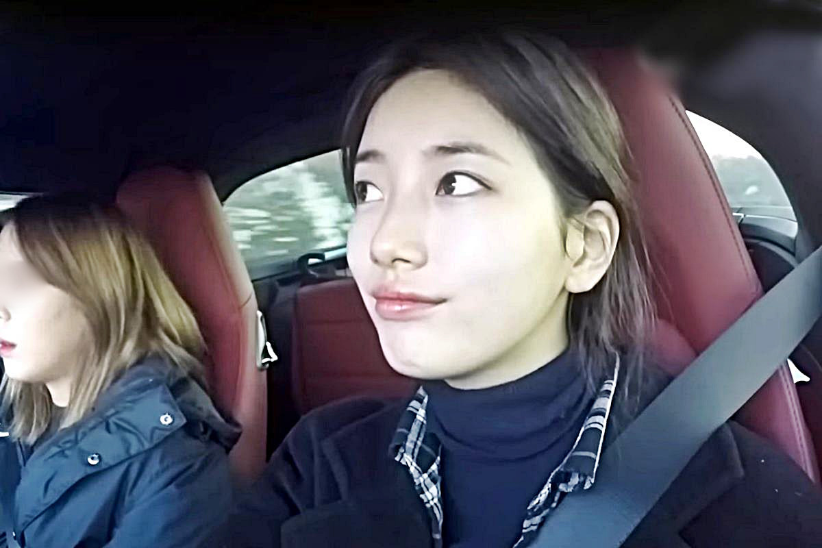 사진 출처 = 'Dingo'.jpg