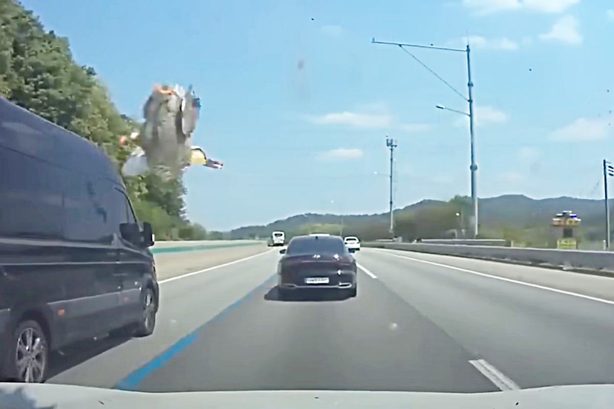 사진 출처 = 유튜브 채널 '한문철TV'.jpg