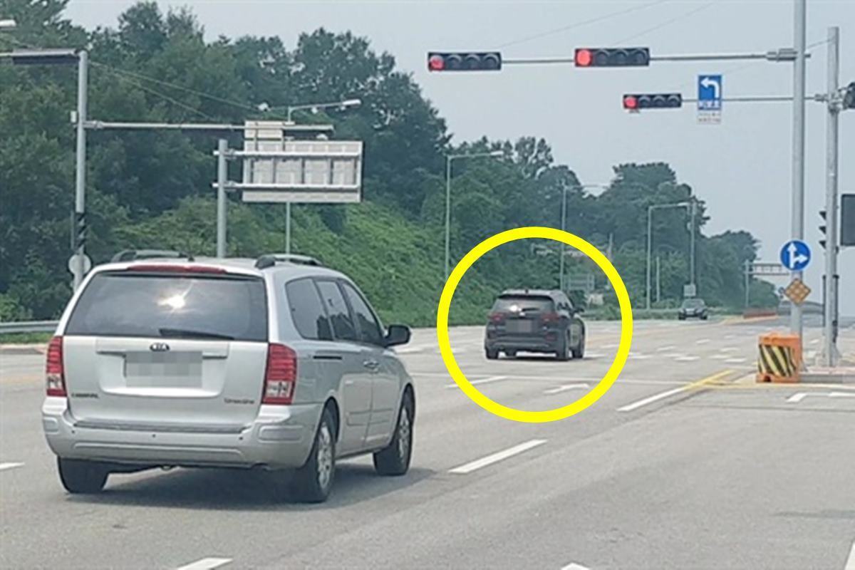 오마이뉴스 신호위반.jpg