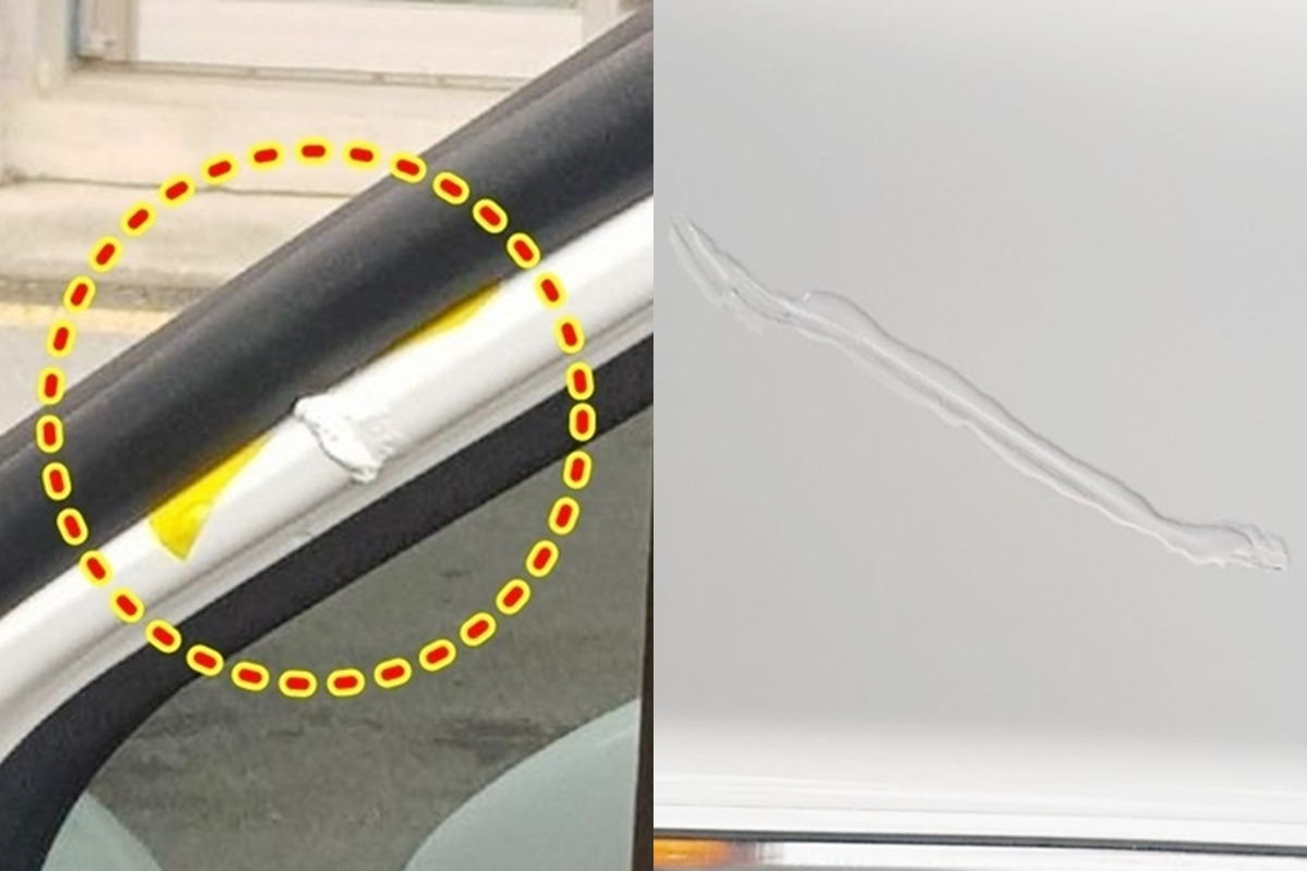 6_기아 카니발 도장 불량_보배드림.jpg