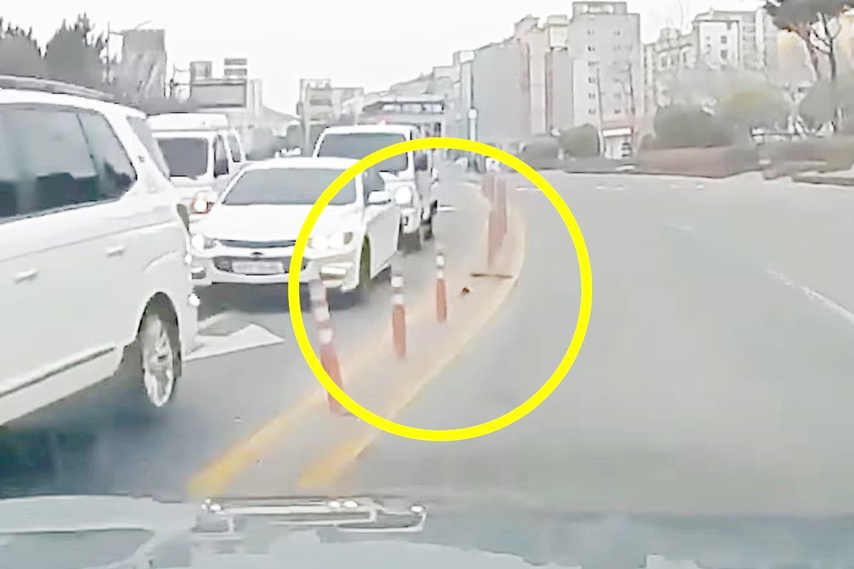 FCA가 사람으로 인식한 차단봉 사진 출처 = '블박맛집'.jpg