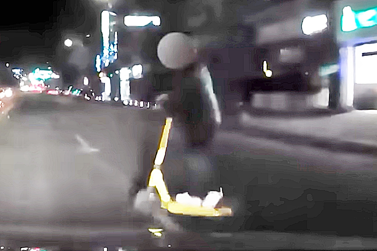 2_킥라니_유튜브 채널 '한문철 TV'.jpg