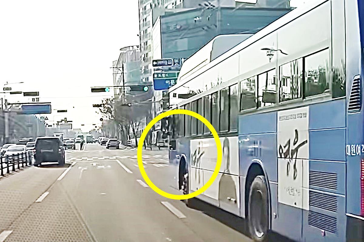 버스로 인해 발생한 사각지대 한문철TV.jpg